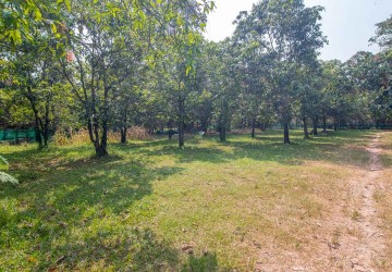   2500 Sqm Land For Sale - Slor Kram, Siem Reap thumbnail