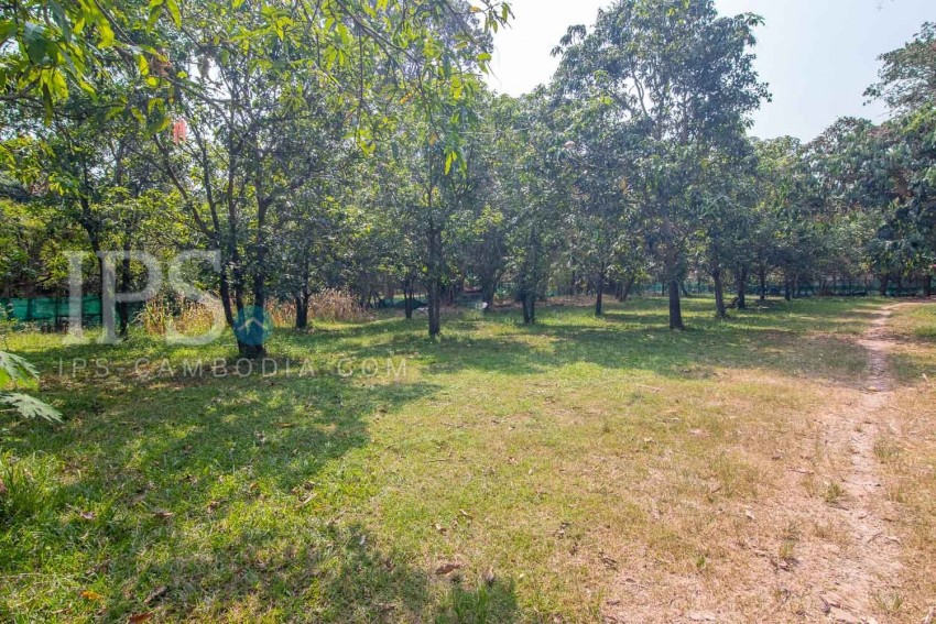   2500 Sqm Land For Sale - Slor Kram, Siem Reap