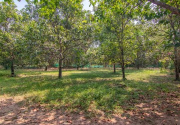   2500 Sqm Land For Sale - Slor Kram, Siem Reap thumbnail