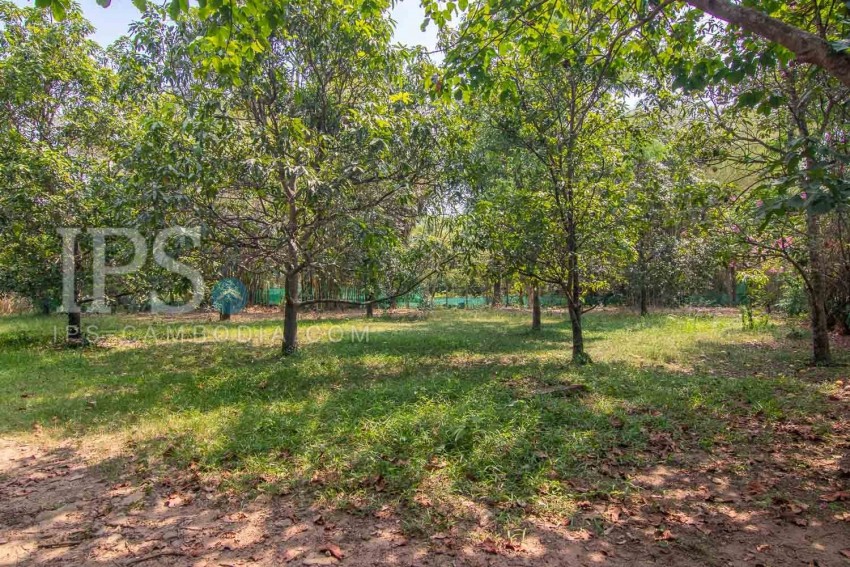   2500 Sqm Land For Sale - Slor Kram, Siem Reap