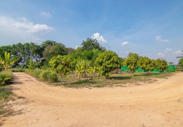   13000 Sqm Land For Sale - Svay Dangkum, Siem Reap thumbnail