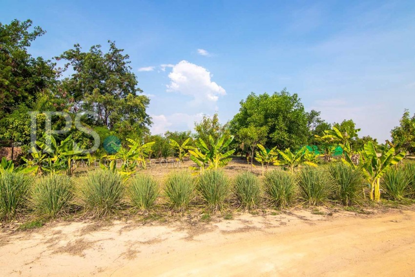   13000 Sqm Land For Sale - Svay Dangkum, Siem Reap