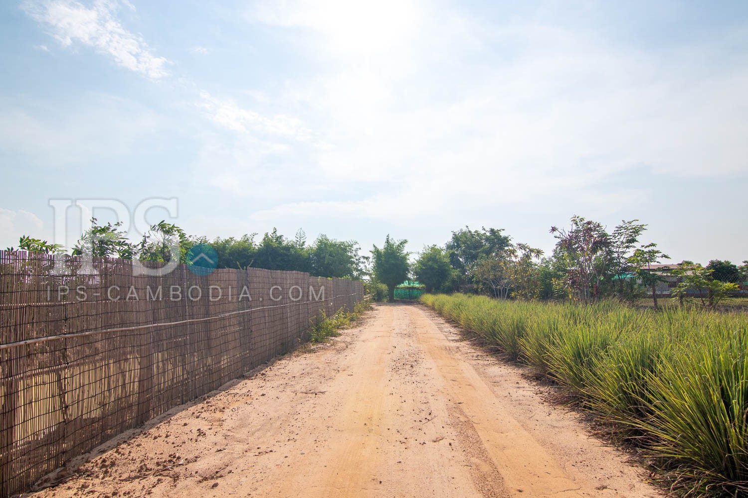 13000 Sqm Land For Sale - Svay Dangkum, Siem Reap - Image 4 13000 Sqm Land For Sale - Svay Dangkum, Siem Reap - Image 4