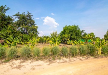   13000 Sqm Land For Sale - Svay Dangkum, Siem Reap thumbnail