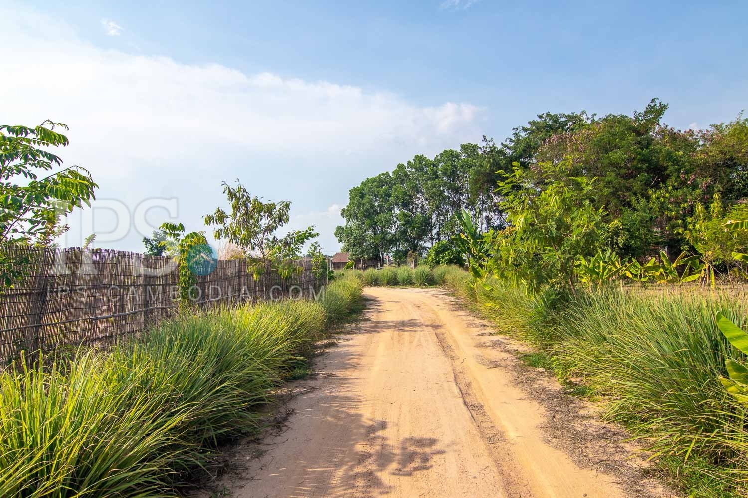 13000 Sqm Land For Sale - Svay Dangkum, Siem Reap - Image 7 13000 Sqm Land For Sale - Svay Dangkum, Siem Reap - Image 7