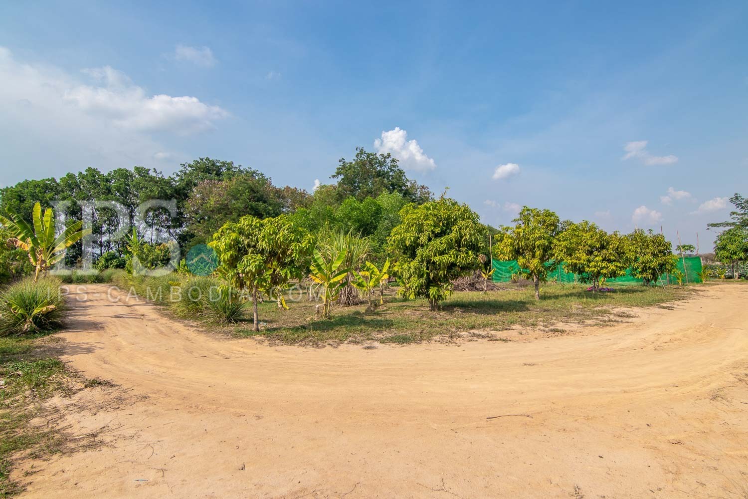 13000 Sqm Land For Sale - Svay Dangkum, Siem Reap - Image 2 13000 Sqm Land For Sale - Svay Dangkum, Siem Reap - Image 2