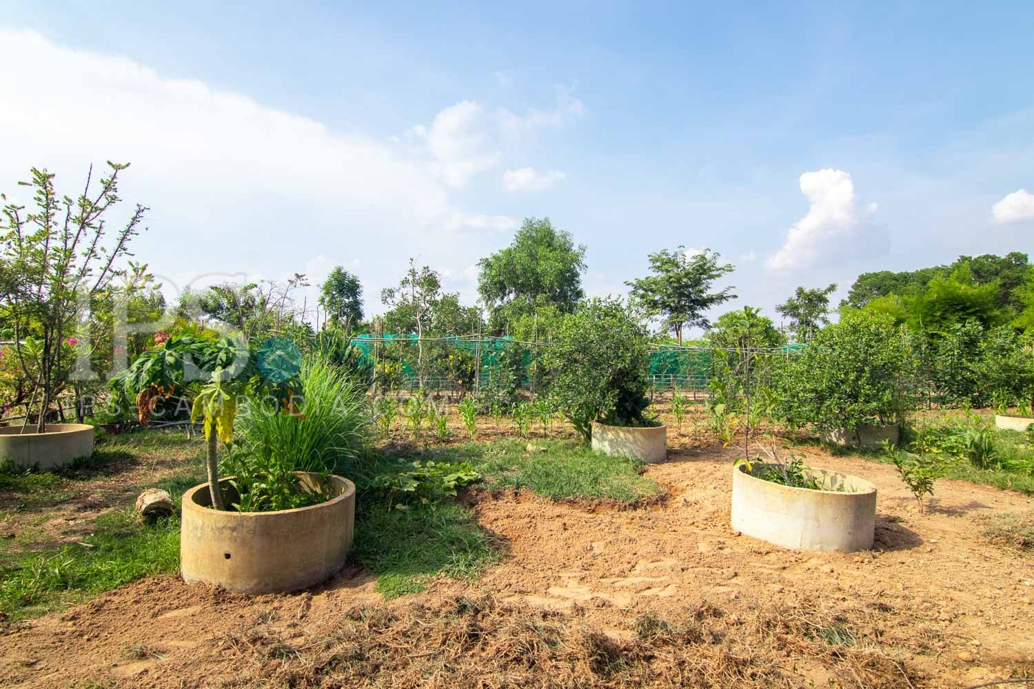 13000 Sqm Land For Sale - Svay Dangkum, Siem Reap - Image 11 13000 Sqm Land For Sale - Svay Dangkum, Siem Reap - Image 11