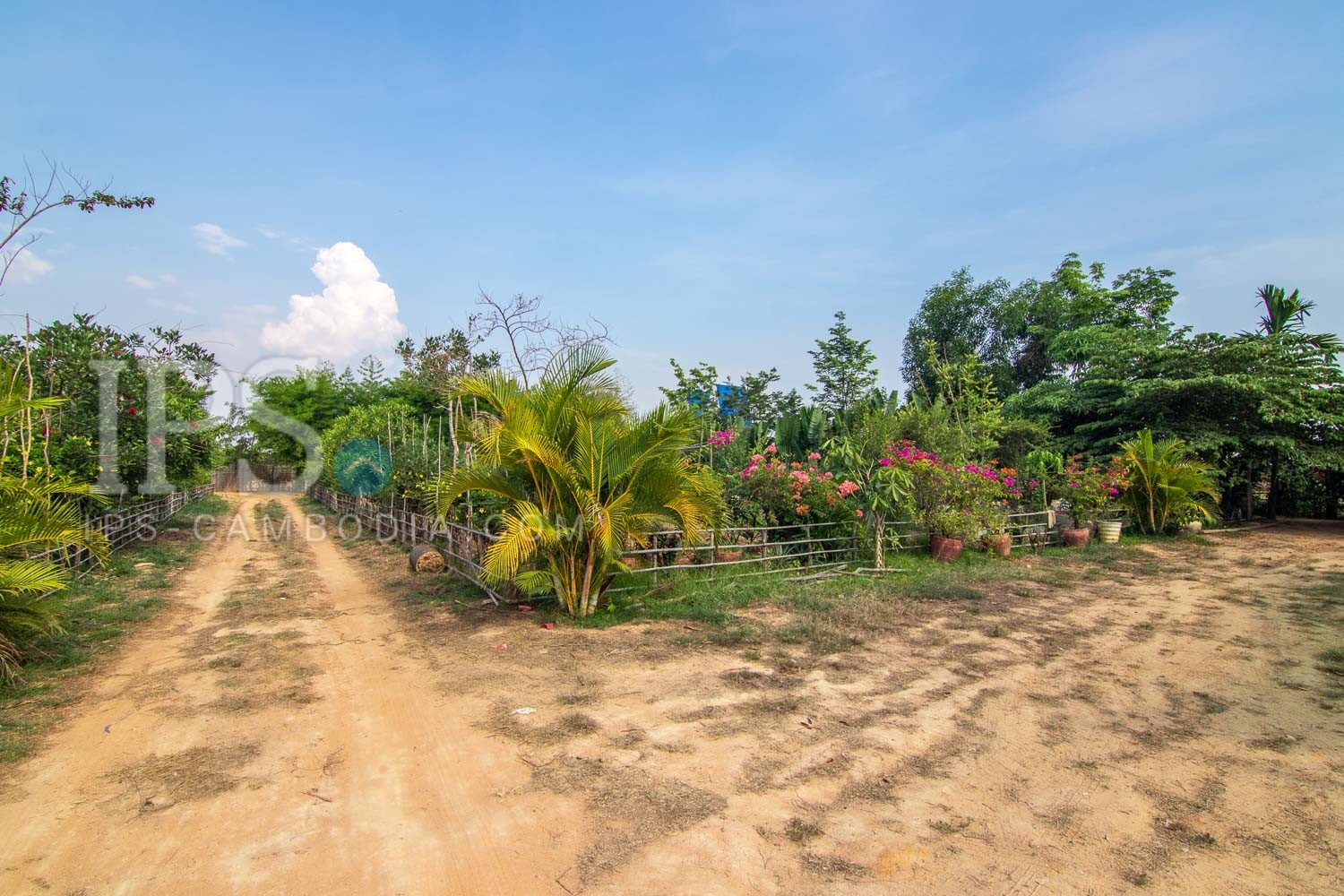 13000 Sqm Land For Sale - Svay Dangkum, Siem Reap - Image 8 13000 Sqm Land For Sale - Svay Dangkum, Siem Reap - Image 8