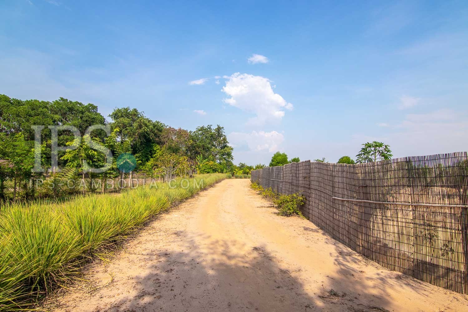13000 Sqm Land For Sale - Svay Dangkum, Siem Reap - Image 5 13000 Sqm Land For Sale - Svay Dangkum, Siem Reap - Image 5