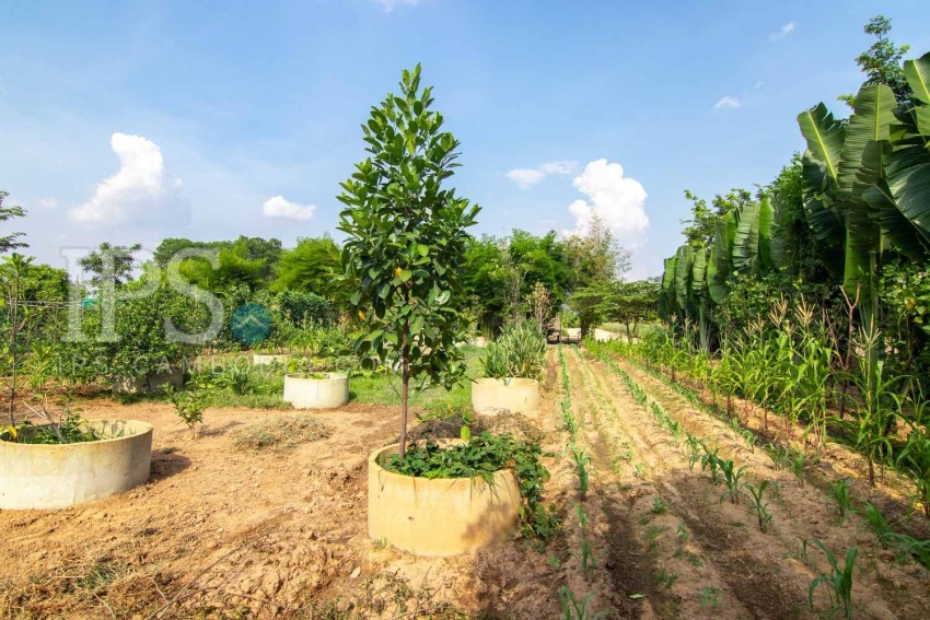   13000 Sqm Land For Sale - Svay Dangkum, Siem Reap