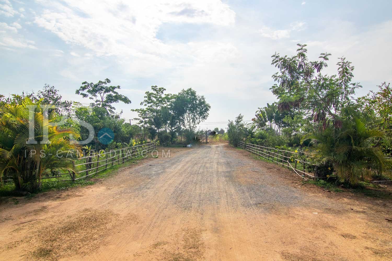 13000 Sqm Land For Sale - Svay Dangkum, Siem Reap - Image 9 13000 Sqm Land For Sale - Svay Dangkum, Siem Reap - Image 9
