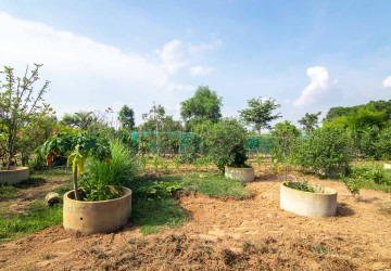   13000 Sqm Land For Sale - Svay Dangkum, Siem Reap thumbnail