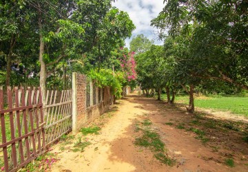 3832 Sqm Land For Sale - Sala Kamreuk, Siem Reap thumbnail