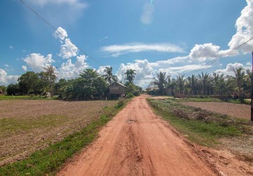   701 Sqm Land For Sale - Chreav, Siem Reap thumbnail