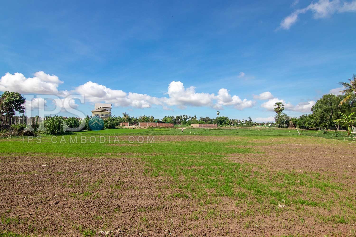 630 Sqm Land For Sale - Chreav, Siem Reap 10762 | IPS Cambodia
