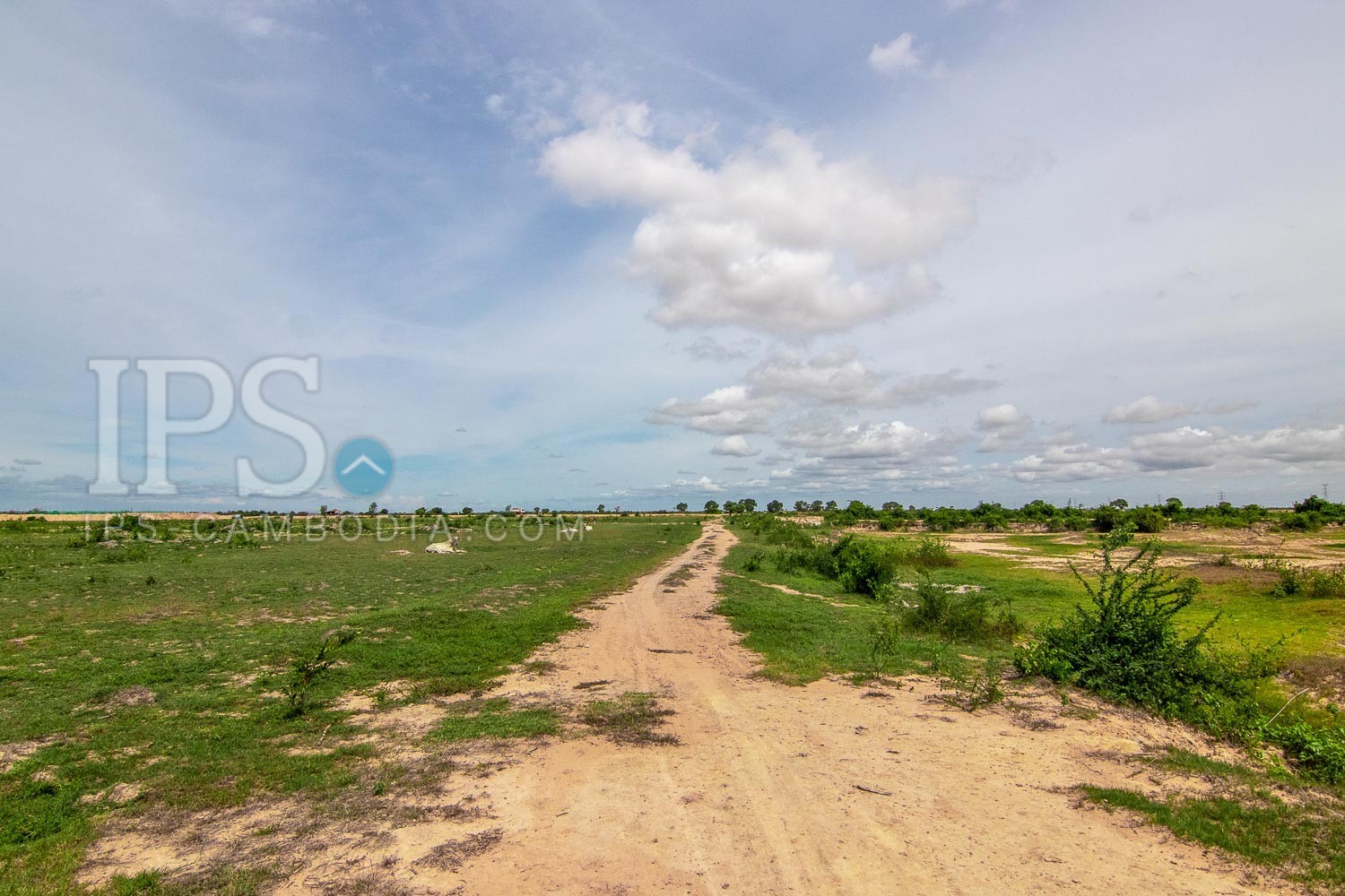 57,441 Sqm Land For Sale - Sra Ngae, Siem Reap - Image 7