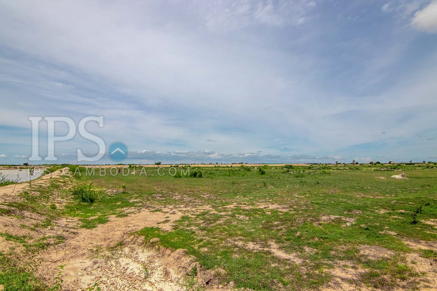 57,441 Sqm Land For Sale - Sra Ngae, Siem Reap - Image 4
