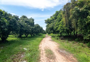 70 Hectare Land For Sale - Banteay Srei, Siem Reap thumbnail