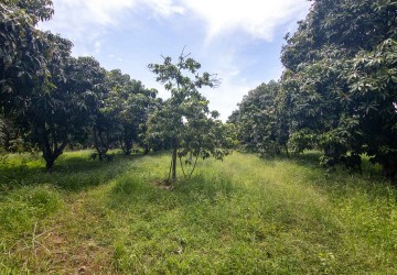 70 Hectare Land For Sale - Banteay Srei, Siem Reap thumbnail