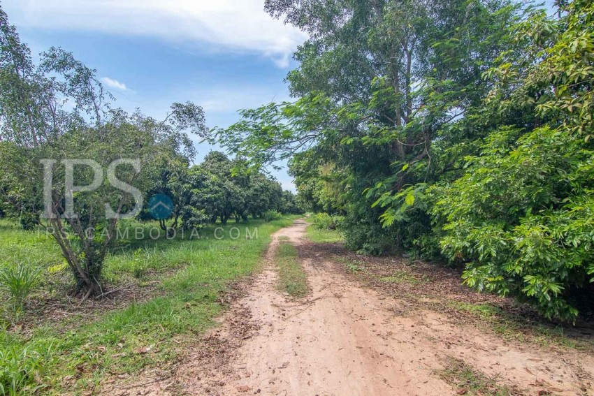 70 Hectare Land For Sale - Banteay Srei, Siem Reap