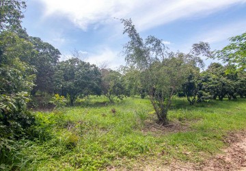 70 Hectare Land For Sale - Banteay Srei, Siem Reap thumbnail