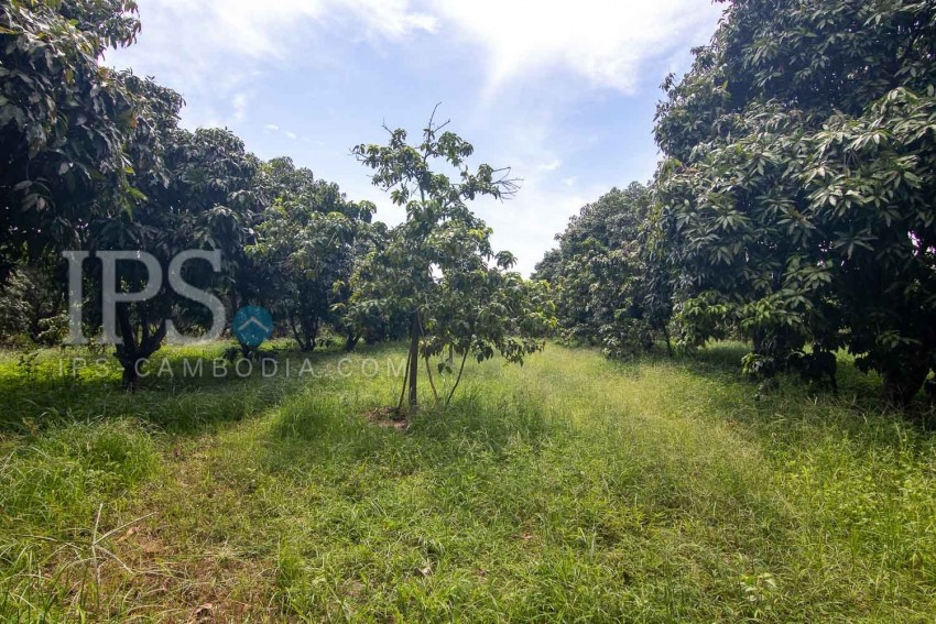 70 Hectare Land For Sale - Banteay Srei, Siem Reap