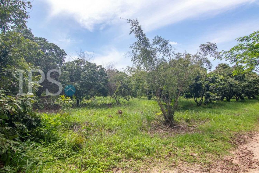 70 Hectare Land For Sale - Banteay Srei, Siem Reap