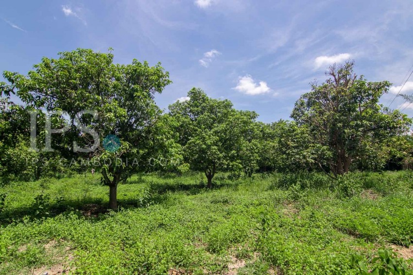 70 Hectare Land For Sale - Banteay Srei, Siem Reap