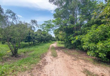 70 Hectare Land For Sale - Banteay Srei, Siem Reap thumbnail