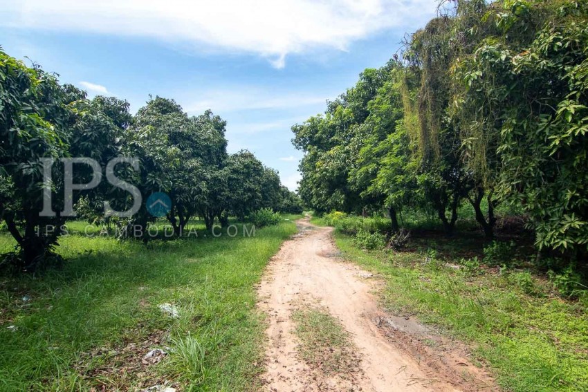 70 Hectare Land For Sale - Banteay Srei, Siem Reap