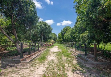 70 Hectare Land For Sale - Banteay Srei, Siem Reap thumbnail