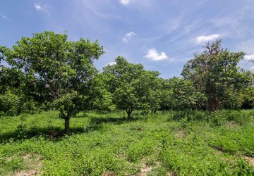 70 Hectare Land For Sale - Banteay Srei, Siem Reap thumbnail