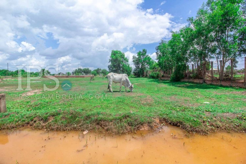 975 Sqm Land For Sale - Svay Prey, Siem Reap