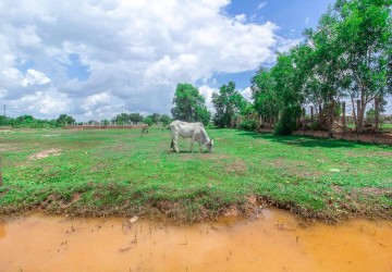 975 Sqm Land For Sale - Svay Prey, Siem Reap thumbnail