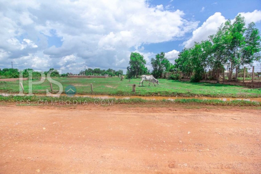 975 Sqm Land For Sale - Svay Prey, Siem Reap