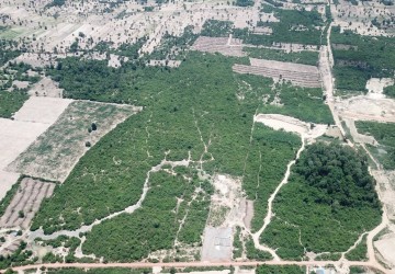 40 Hectare Land  For Sale - Svay Chek, Siem Reap thumbnail