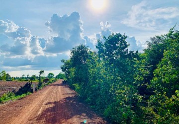   1.5 Hectare Land For Sale - Leang Dai, Siem Reap thumbnail