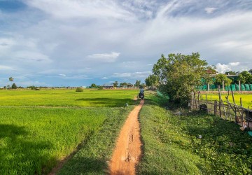  2016 Sqm Land For Sale - Svay Thom, Siem Reap thumbnail