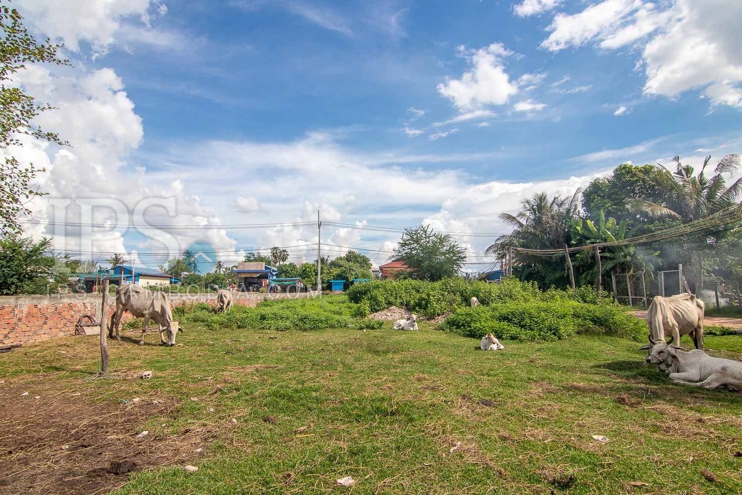 1486 Sqm Land For Sale - Chreav, Siem Reap - Image 11