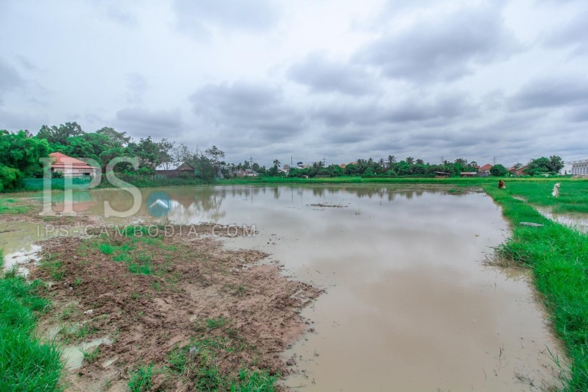 3123 Sqm Land For Sale - Svay Dangkum, Siem Reap