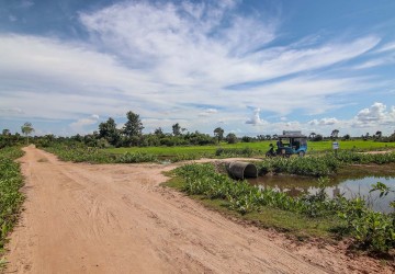 61347 Sqm Land For Sale - Bakong District, Siem Reap thumbnail