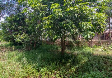  560 Sqm Land For Sale - Slor Kram, Siem Reap thumbnail