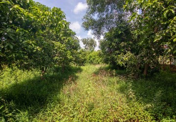  560 Sqm Land For Sale - Slor Kram, Siem Reap thumbnail