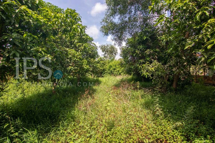  560 Sqm Land For Sale - Slor Kram, Siem Reap