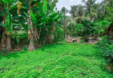 450 Sqm Land For Sale - Wat Po, Siem Reap thumbnail