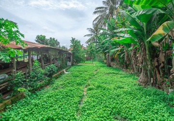 450 Sqm Land For Sale - Wat Po, Siem Reap thumbnail