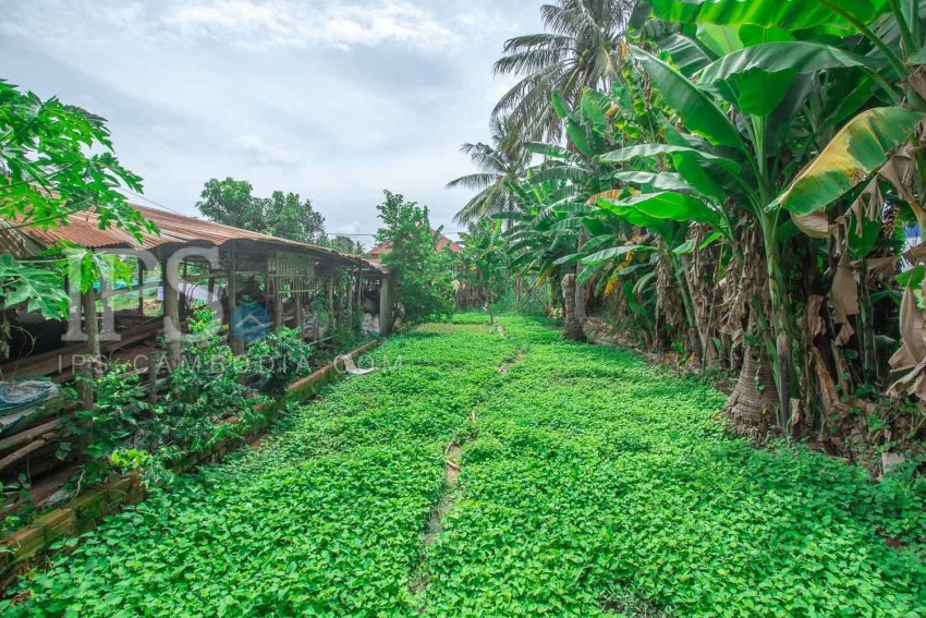 ដីទំហំ 450 ម៉ែត្រការ៉េ សម្រាប់លក់- វត្ត ពោធិ៍, ក្រុងសៀមរាប