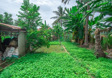 450 Sqm Land For Sale - Wat Po, Siem Reap thumbnail