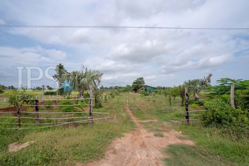   12000 Sqm Land For Sale - Chreav, Siem Reap