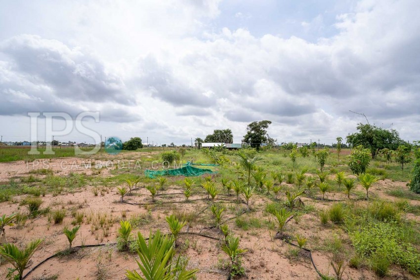   12000 Sqm Land For Sale - Chreav, Siem Reap